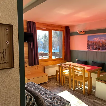 Plein Sud Au Pied Des Pistes, Piscine Et Parking Gratuits Appartement